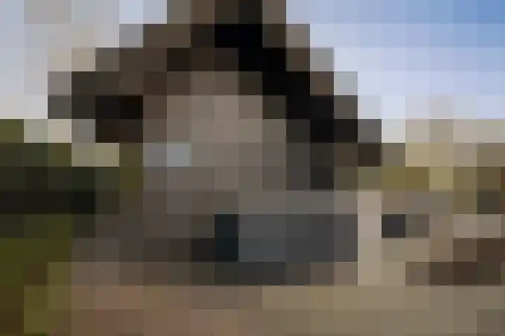 Burg. Arriënsweg 5 Diepenveen thumbnail 62