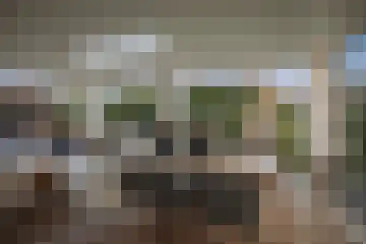 Burg. Arriënsweg 5 Diepenveen thumbnail 63