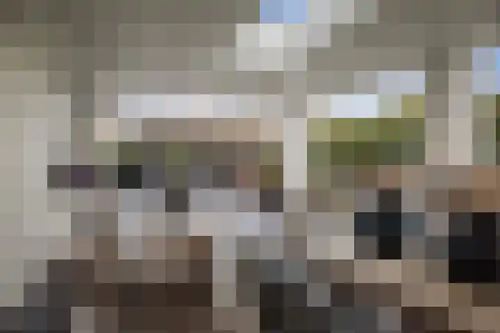 Burg. Arriënsweg 5 Diepenveen thumbnail 64