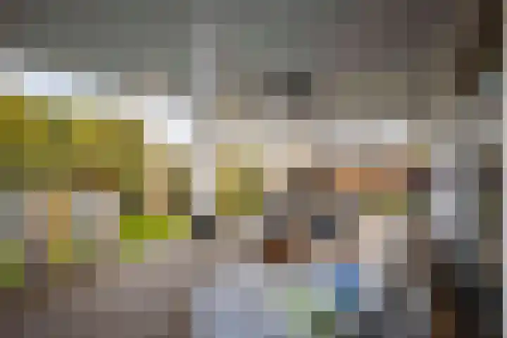 Burg. Arriënsweg 5 Diepenveen thumbnail 65