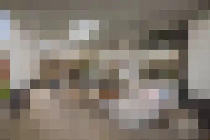 Burg. Arriënsweg 5 Diepenveen thumbnail 66