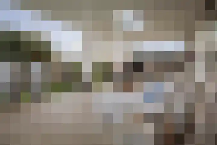 Burg. Arriënsweg 5 Diepenveen thumbnail 67