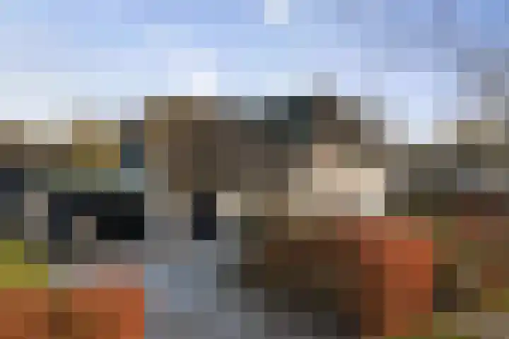 Burg. Arriënsweg 5 Diepenveen thumbnail 70
