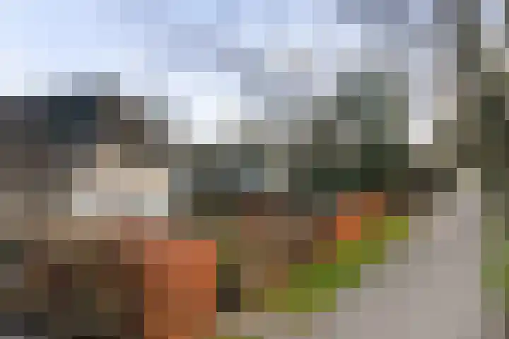 Burg. Arriënsweg 5 Diepenveen thumbnail 71
