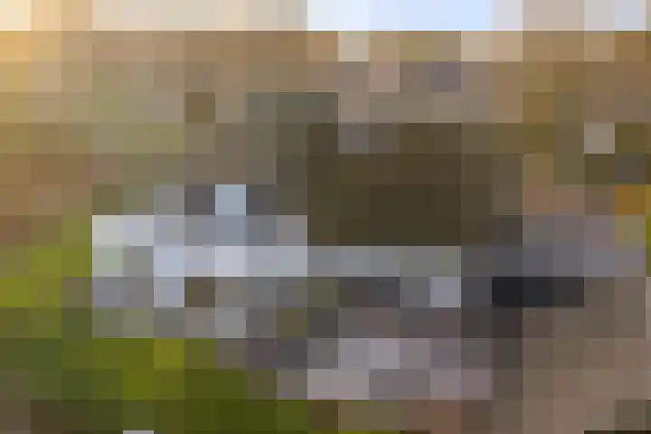 Burg. Arriënsweg 5 Diepenveen thumbnail 72