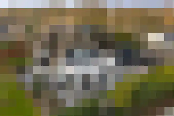 Burg. Arriënsweg 5 Diepenveen thumbnail 73