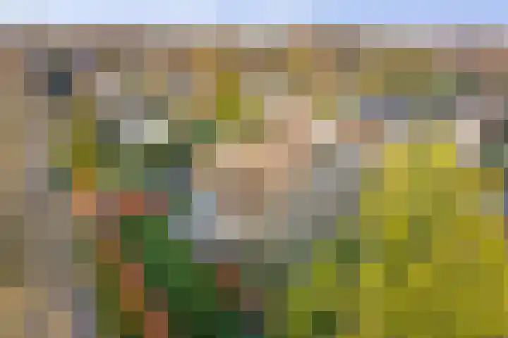 Burg. Arriënsweg 5 Diepenveen thumbnail 75