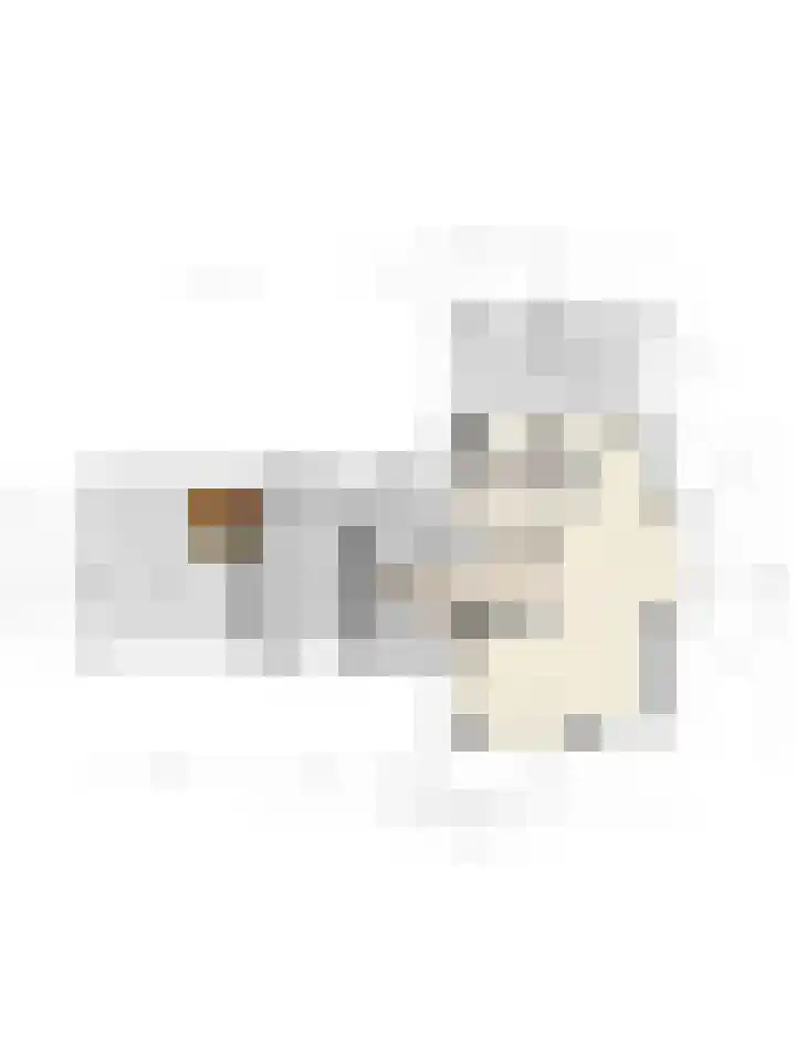 Burg. Arriënsweg 5 Diepenveen thumbnail 77