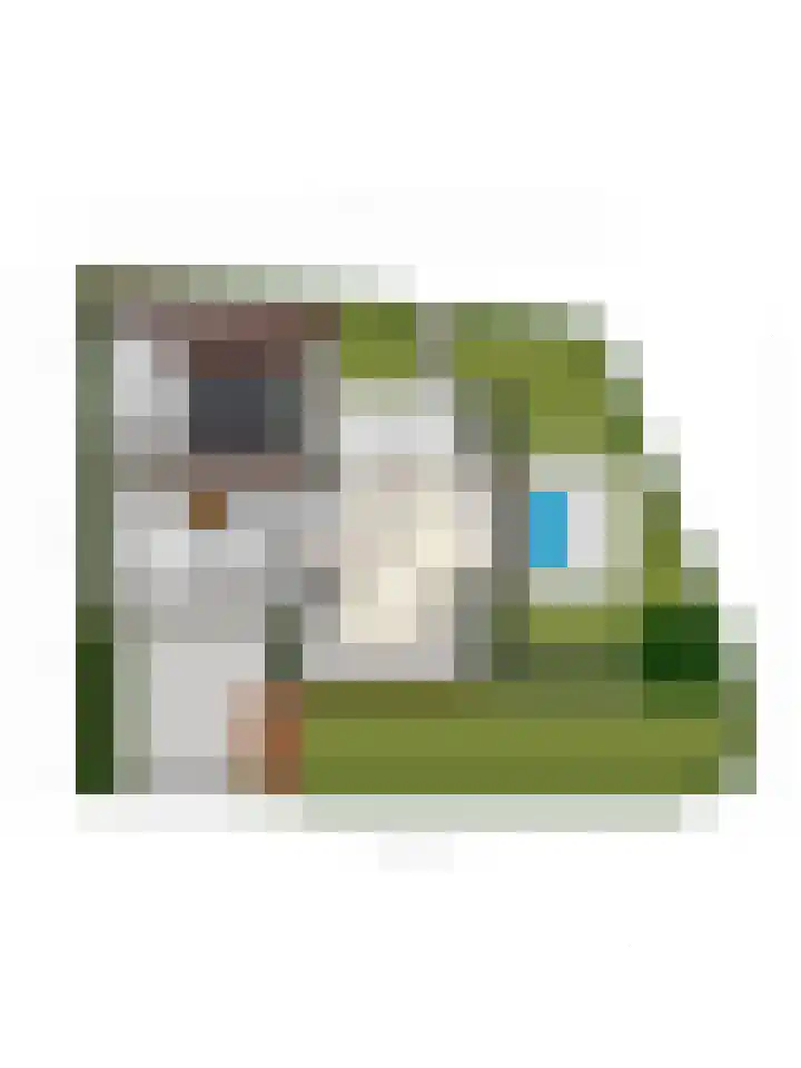 Burg. Arriënsweg 5 Diepenveen thumbnail 80