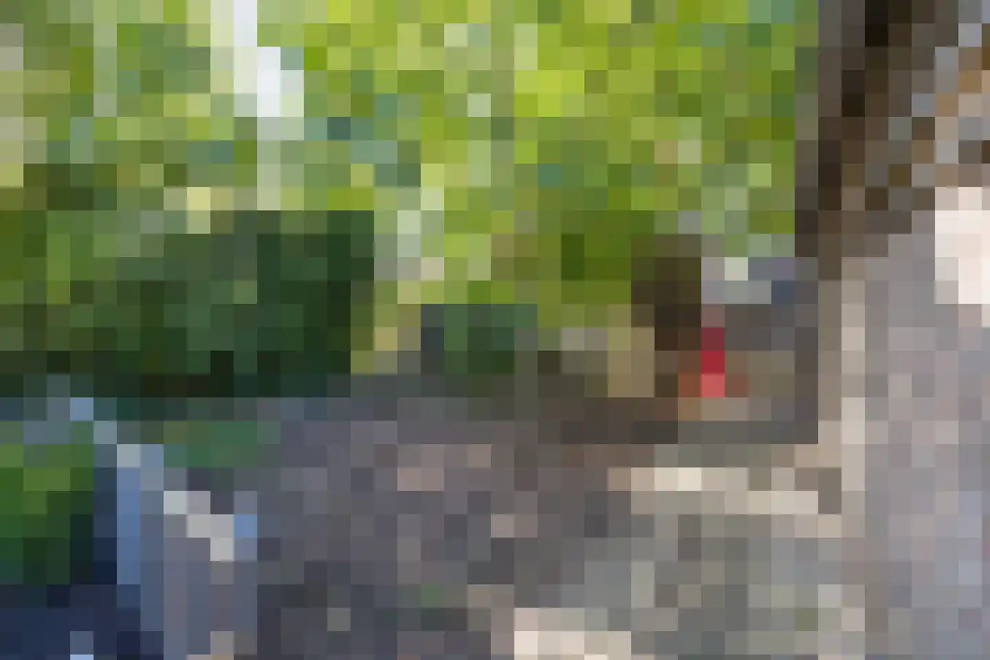 Burg B. den Oudenstraat 8 Opijnen thumbnail 29