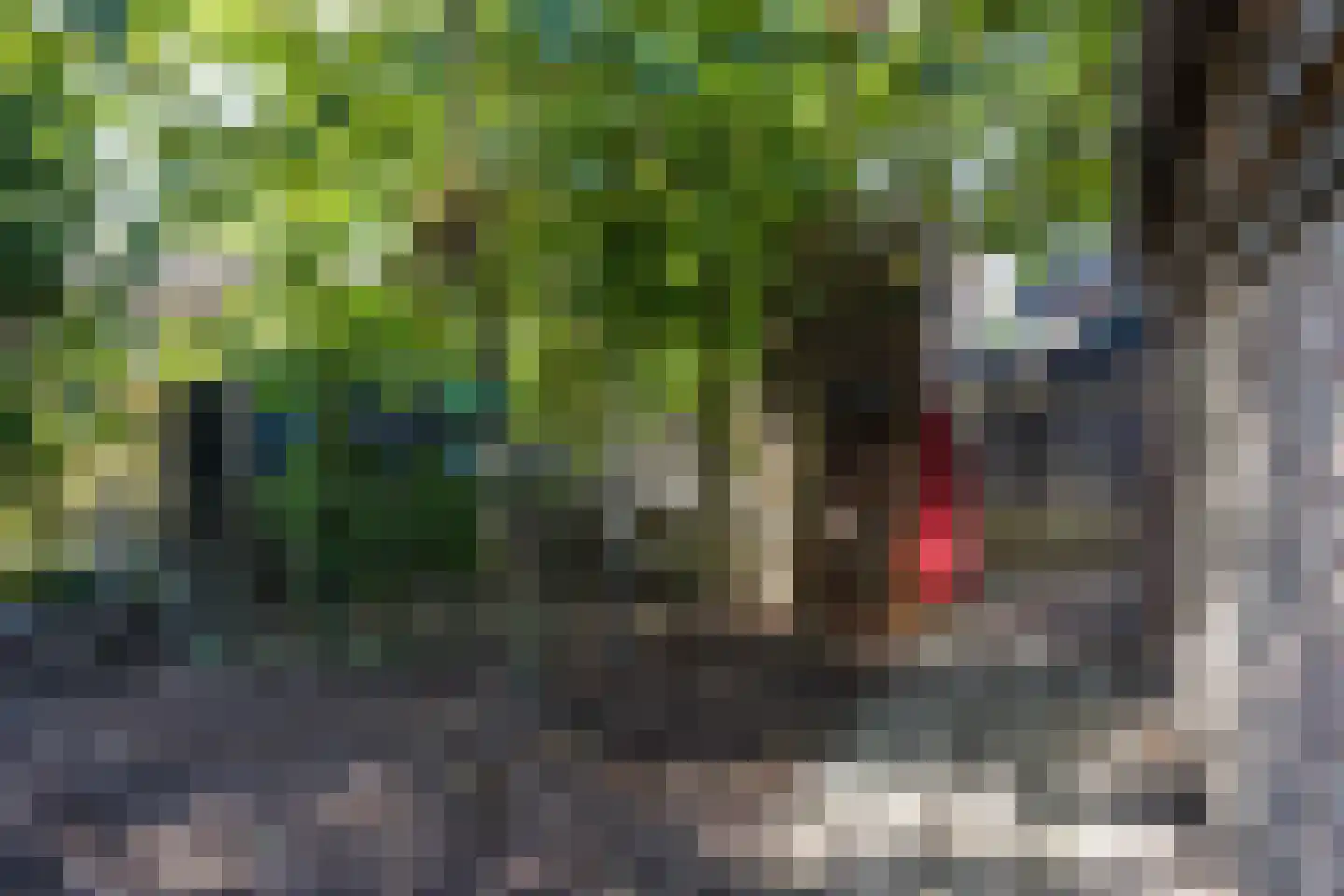 Burg B. den Oudenstraat 8 Opijnen thumbnail 30