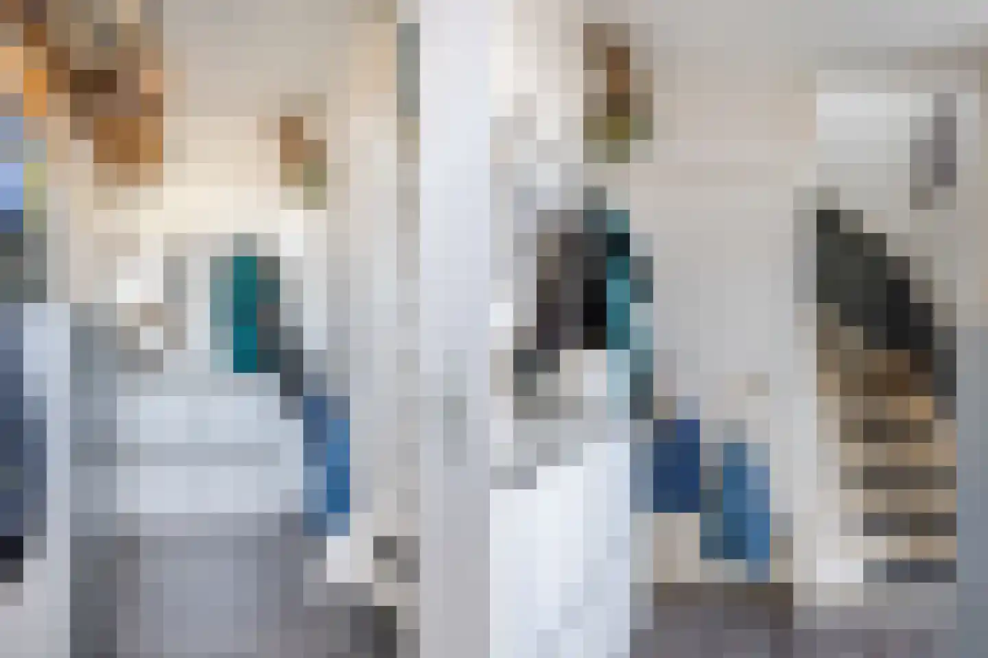 Burg B. den Oudenstraat 8 Opijnen thumbnail 8