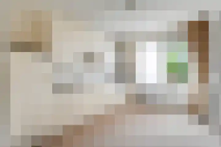 Burg.Backxlaan 103 Nieuwleusen thumbnail 10