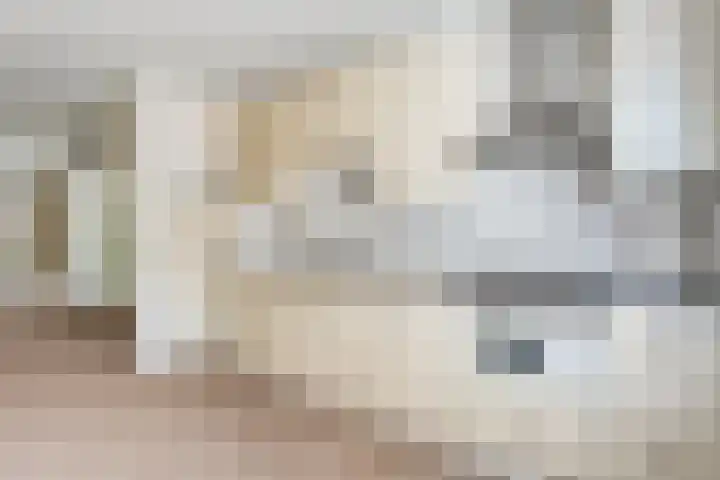 Burg.Backxlaan 103 Nieuwleusen thumbnail 11