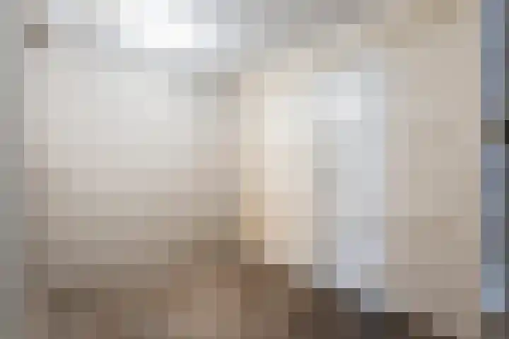 Burg.Backxlaan 103 Nieuwleusen thumbnail 14