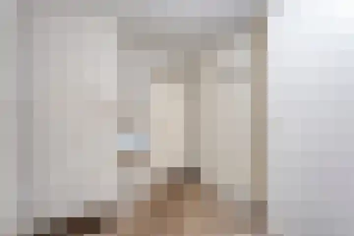 Burg.Backxlaan 103 Nieuwleusen thumbnail 15
