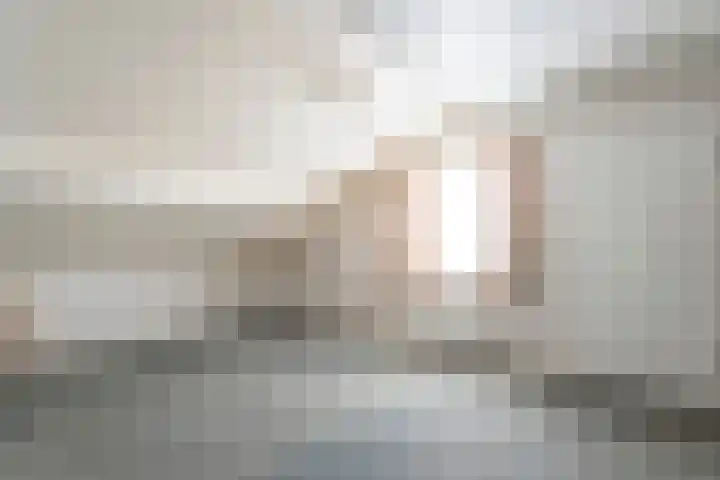 Burg.Backxlaan 103 Nieuwleusen thumbnail 23