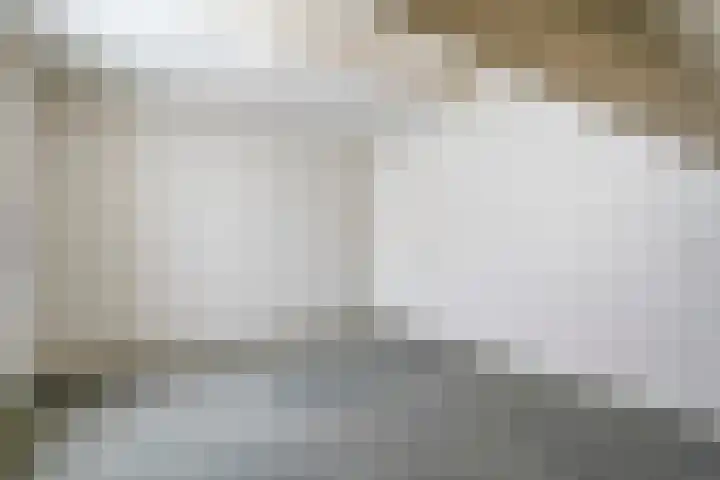 Burg.Backxlaan 103 Nieuwleusen thumbnail 24