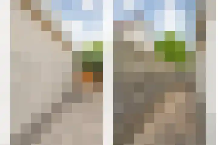 Burg.Backxlaan 103 Nieuwleusen thumbnail 27