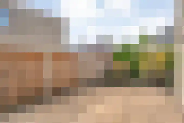 Burg.Backxlaan 103 Nieuwleusen thumbnail 28