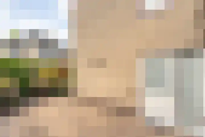 Burg.Backxlaan 103 Nieuwleusen thumbnail 29