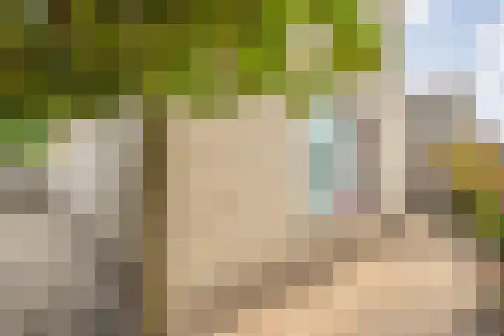 Burg.Backxlaan 103 Nieuwleusen thumbnail 32