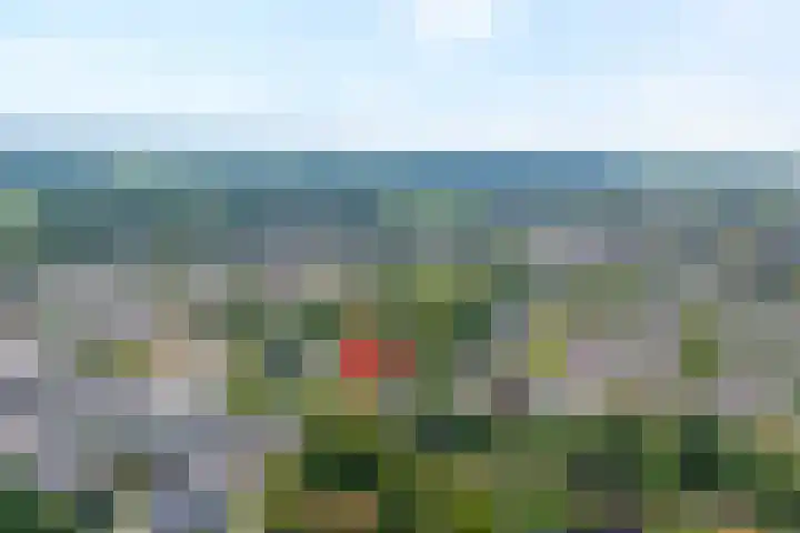 Burg.Backxlaan 103 Nieuwleusen thumbnail 33