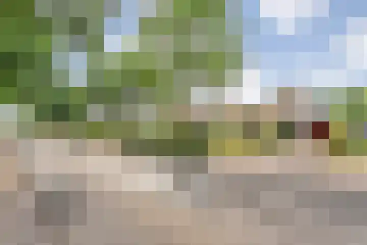 Burg.Backxlaan 103 Nieuwleusen thumbnail 34