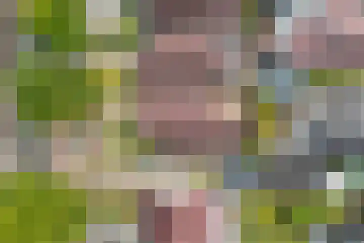 Burg.Backxlaan 103 Nieuwleusen thumbnail 35