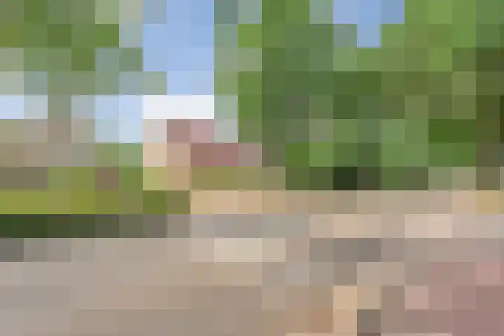 Burg.Backxlaan 103 Nieuwleusen thumbnail 36