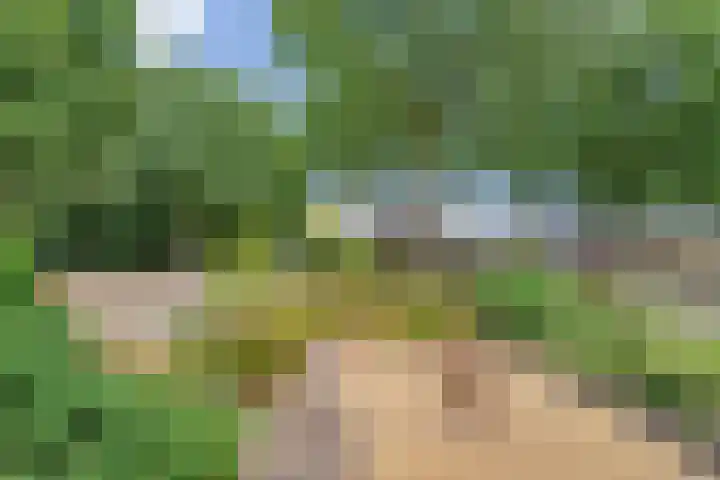 Burg.Backxlaan 103 Nieuwleusen thumbnail 4