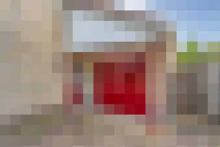 Burg.Backxlaan 103 Nieuwleusen thumbnail 5