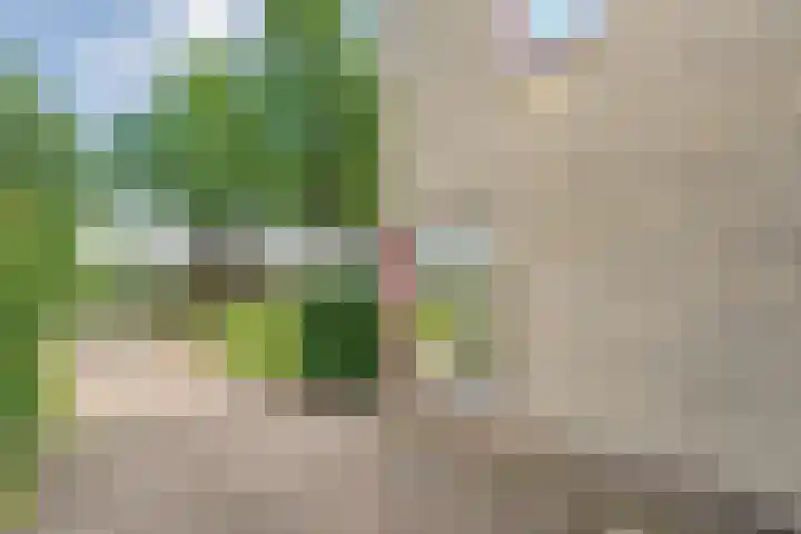 Burg.Backxlaan 103 Nieuwleusen thumbnail 6