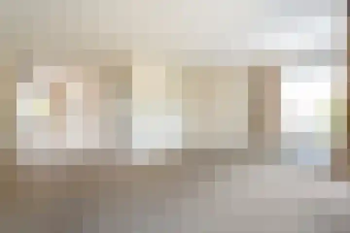 Burg.Backxlaan 103 Nieuwleusen thumbnail 8