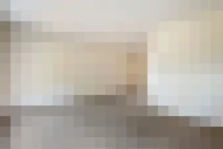 Burg.Backxlaan 103 Nieuwleusen thumbnail 9