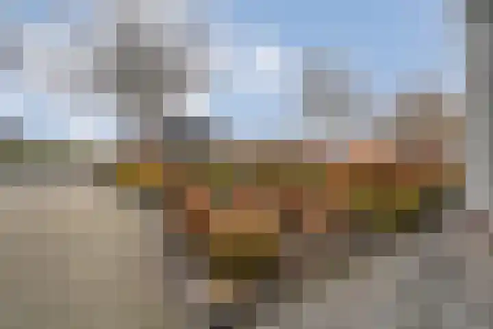Burg.Backxlaan 277 Nieuwleusen thumbnail 10