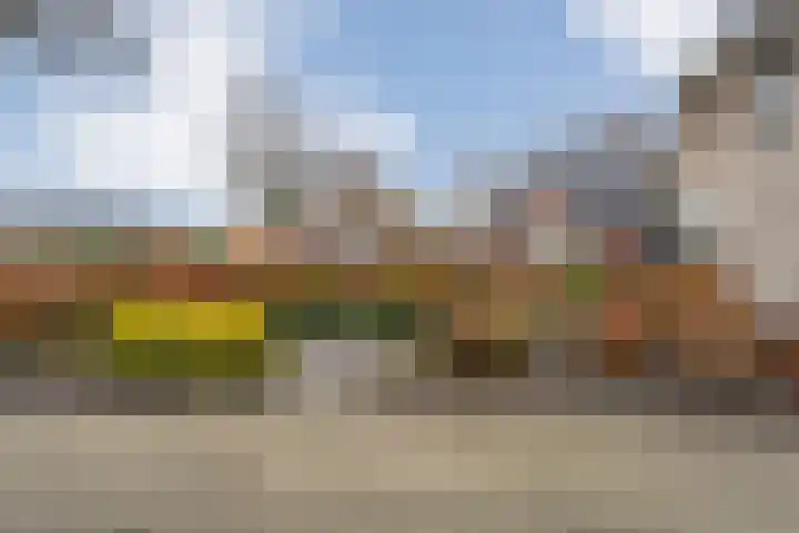 Burg.Backxlaan 277 Nieuwleusen thumbnail 11