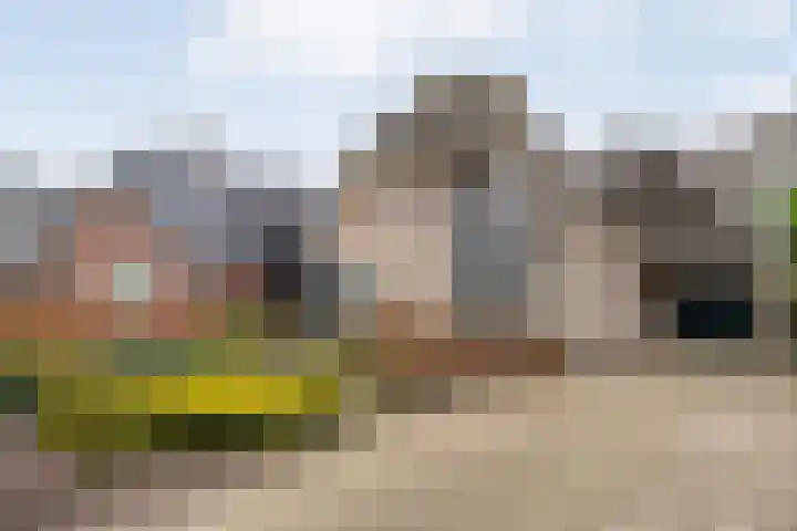 Burg.Backxlaan 277 Nieuwleusen thumbnail 12