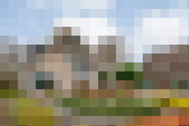 Burg.Backxlaan 277 Nieuwleusen thumbnail 13
