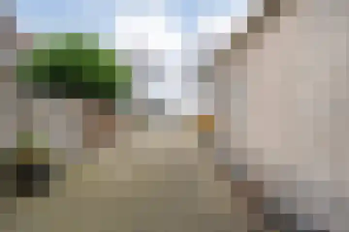 Burg.Backxlaan 277 Nieuwleusen thumbnail 15