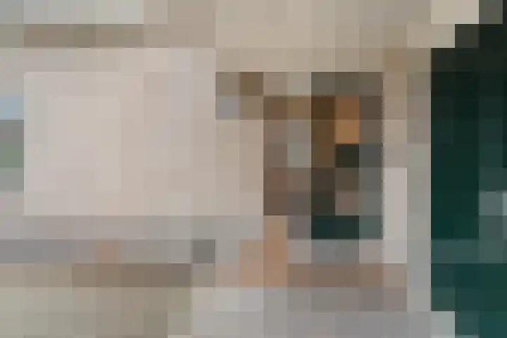 Burg.Backxlaan 277 Nieuwleusen thumbnail 16