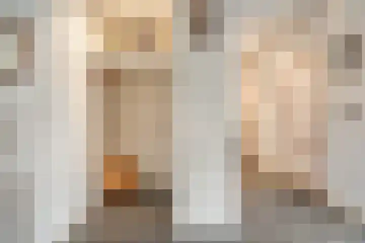Burg.Backxlaan 277 Nieuwleusen thumbnail 20