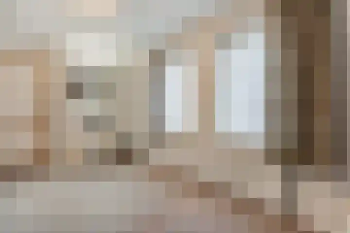 Burg.Backxlaan 277 Nieuwleusen thumbnail 24