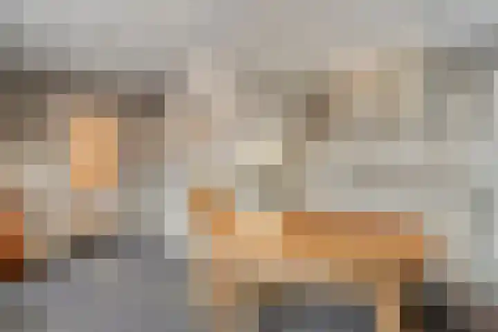Burg.Backxlaan 277 Nieuwleusen thumbnail 27