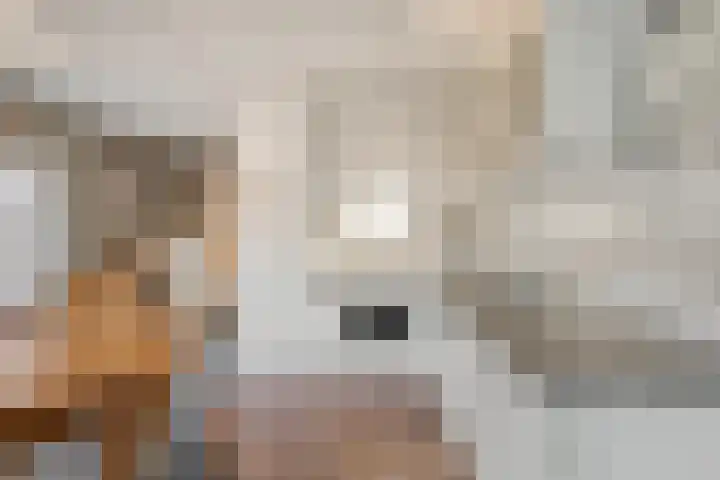 Burg.Backxlaan 277 Nieuwleusen thumbnail 28