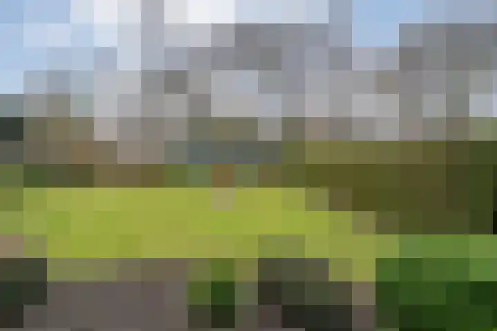 Burg.Backxlaan 277 Nieuwleusen thumbnail 4