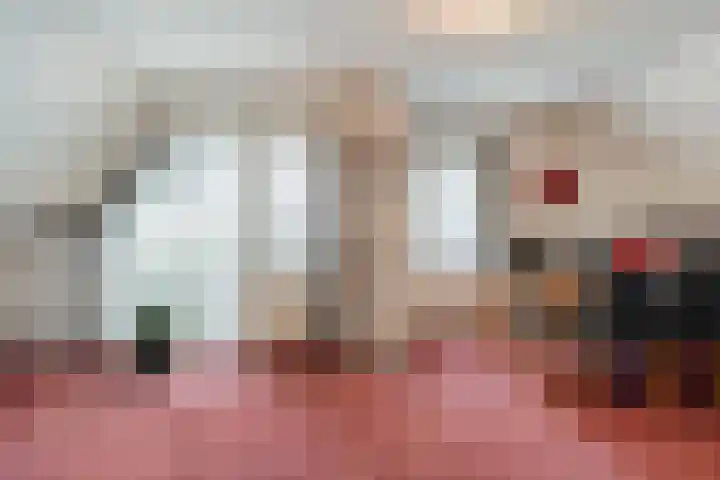 Burg.Backxlaan 277 Nieuwleusen thumbnail 40