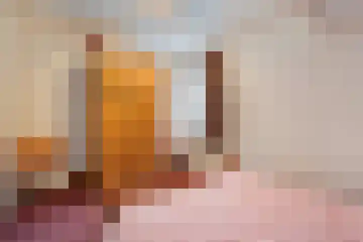 Burg.Backxlaan 277 Nieuwleusen thumbnail 48