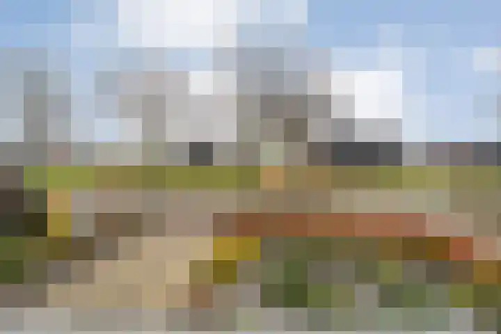 Burg.Backxlaan 277 Nieuwleusen thumbnail 56