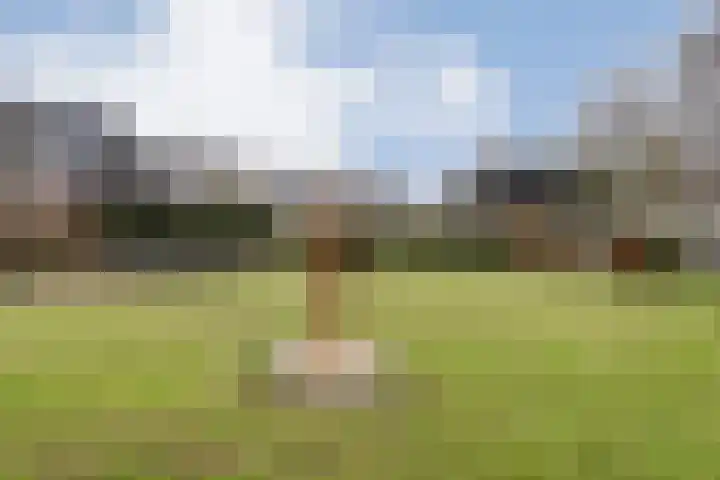 Burg.Backxlaan 277 Nieuwleusen thumbnail 58